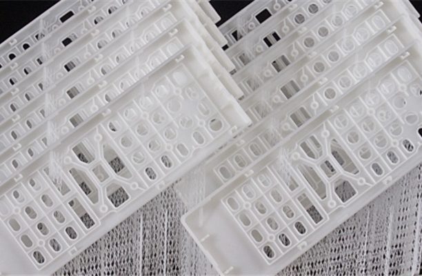 3dyunoss/145265309614814.jpg 130322597300139327_c.jpg